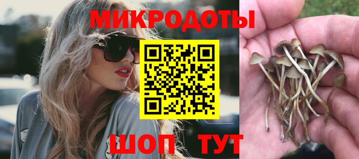 Псилоцибиновые грибы Magic Shrooms Ачхой-Мартан